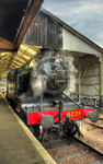 5239_goliath_final_web_size_