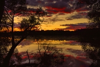 River_sunset
