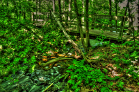 Trail_bridge_hilton_falls