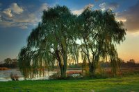 Img_7909_3_2_4_1_5_tonemapped6_2