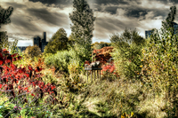 Img_1937_8_9_tonemapped-ltm-filter