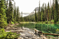 Hiddenlake