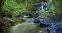 River-in-the-fall
