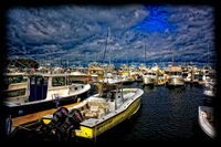Marina-1
