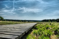 Hogevenen