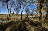 _dsc8745
