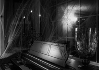 A_night_with_the_phantom