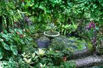 Lush-green