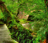 Avon_wider_2_stitch_hdr_final_v2_crop_recalibrated_web_size_