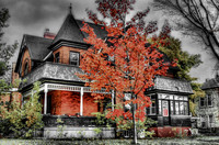 Img_2533_4_5_tonemapped-ltm-filter-st8t