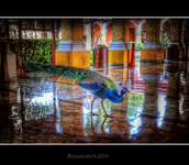 Dsc_0090_tonemapped