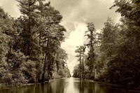 Bayou_1_hdrp