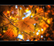 Dsc_2497_tonemapped