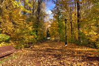 Blackbird_park_in_fall_01