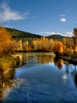 Blackbird_park_in_fall_02
