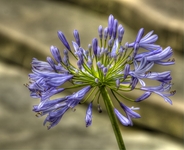 _mg_0582_-2_-3_tonemapped