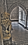 The_guardian