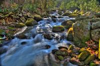 _des6551_3_5_7_tonemapped