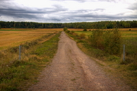 Kuviia2