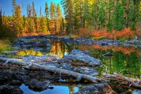 _des5981_3_5_tonemapped