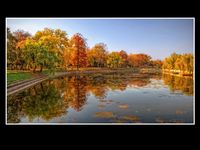 Arad_0037