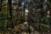 _dsc5671_2_3_tonemapped-topaz