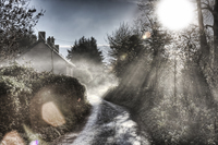 Steaming_along_the_road