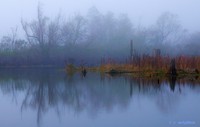 Ejv_8306