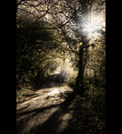 Light_my_way