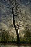 _dsc5740_1_2_tonemapped-2