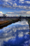 _dsc5854_5_6