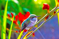 Img_2831_psd
