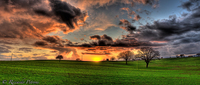 Rebyebyesun