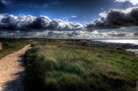 Le_cour_gant_ii_hd