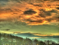 Estorninos_al_atardecer