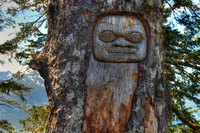 Face