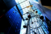 Hdr_low_view_christmas_tree