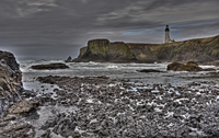 Yaquina_head_small