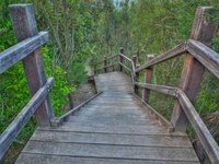 900-steps