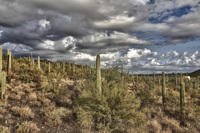 _mg_3023_hdr