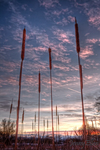 Img_9706_tonemappedtoplvl4