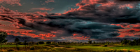 Red_hawk_sunset2