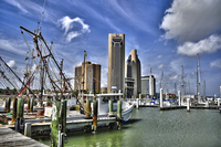 Dock