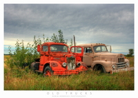 Trucks01