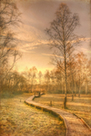 Golden_walkway