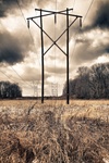 The_towers