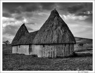 Dsc01116_7_8-2