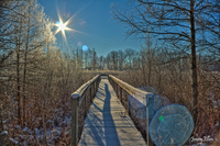 1_winter_boardwalk