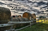 Canadianfarm