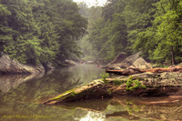 Img_5410_900x600